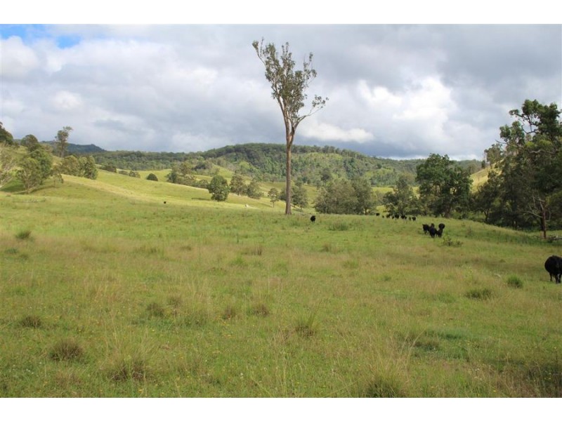 10201 Bruxner Highway, Tenterfield NSW 2372