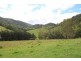10201 Bruxner Highway, Tenterfield NSW 2372
