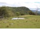 10201 Bruxner Highway, Tenterfield NSW 2372