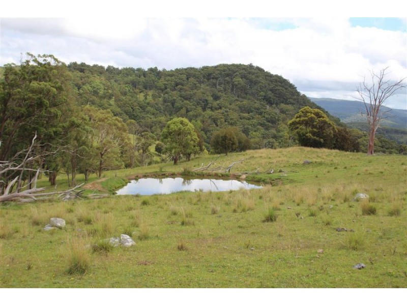 10201 Bruxner Highway, Tenterfield NSW 2372
