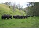 10201 Bruxner Highway, Tenterfield NSW 2372