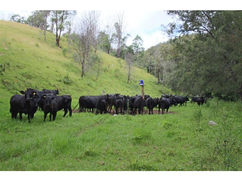 10201 Bruxner Highway, Tenterfield NSW 2372