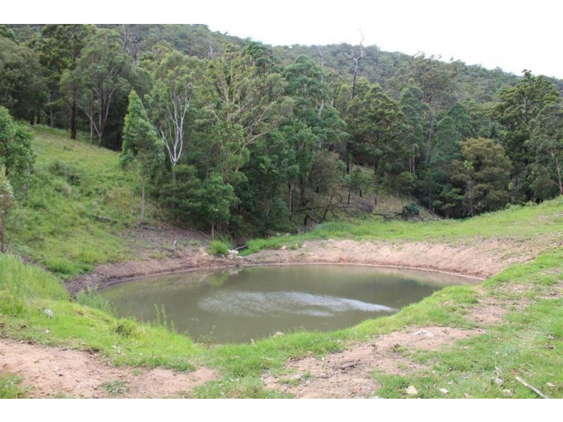 10201 Bruxner Highway, Tenterfield NSW 2372