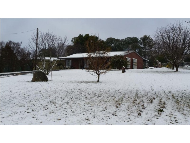 59 Riley Street, Tenterfield NSW 2372