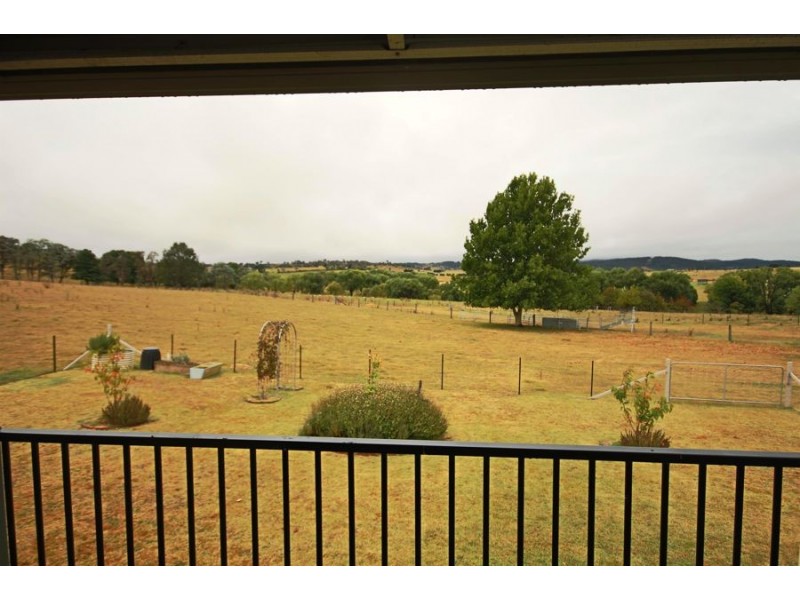 322 Lots 1, 3 & 4 Mt Lindesay Road, Tenterfield NSW 2372