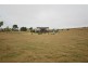322 Lots 1, 3 & 4 Mt Lindesay Road, Tenterfield NSW 2372