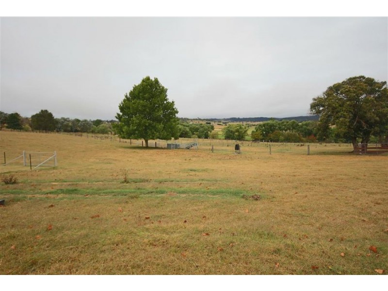 322 Lots 1, 3 & 4 Mt Lindesay Road, Tenterfield NSW 2372