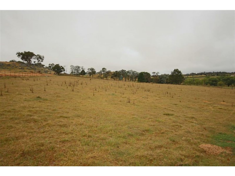 322 Lots 1, 3 & 4 Mt Lindesay Road, Tenterfield NSW 2372