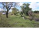 322 Lots 1, 3 & 4 Mt Lindesay Road, Tenterfield NSW 2372