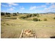 103 Leechs Gully Road, Tenterfield NSW 2372