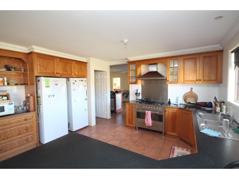 155 Mt Mackenzie Road, Tenterfield NSW 2372