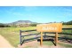 155 Mt Mackenzie Road, Tenterfield NSW 2372