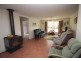 155 Mt Mackenzie Road, Tenterfield NSW 2372