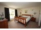 155 Mt Mackenzie Road, Tenterfield NSW 2372