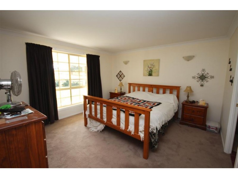 155 Mt Mackenzie Road, Tenterfield NSW 2372