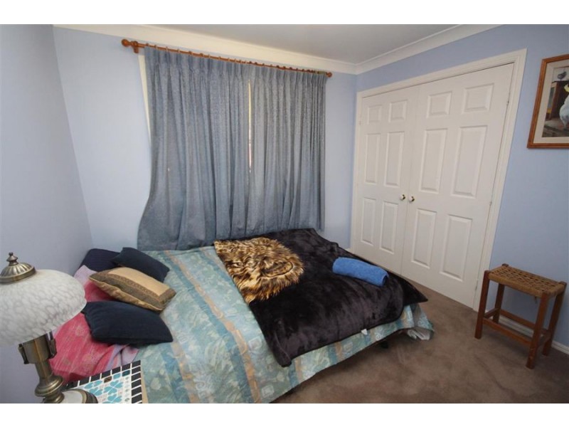 155 Mt Mackenzie Road, Tenterfield NSW 2372