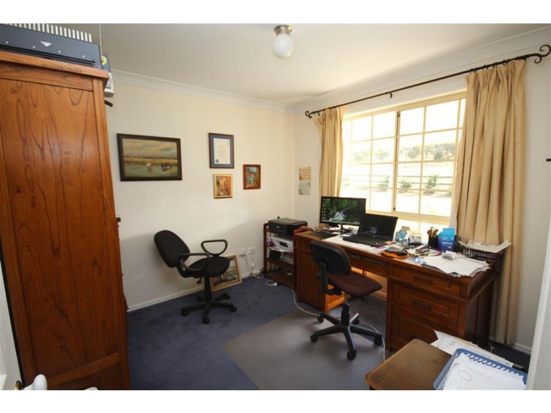 155 Mt Mackenzie Road, Tenterfield NSW 2372