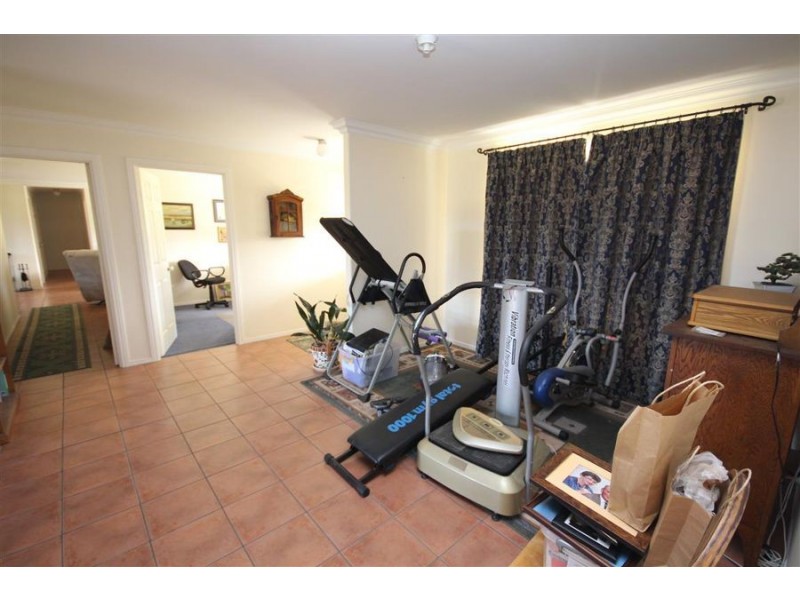 155 Mt Mackenzie Road, Tenterfield NSW 2372
