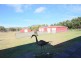 155 Mt Mackenzie Road, Tenterfield NSW 2372