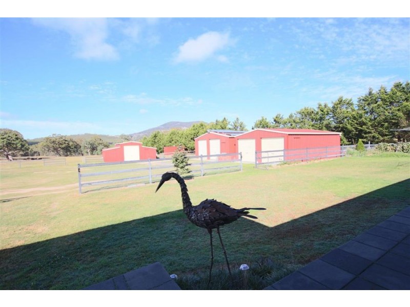155 Mt Mackenzie Road, Tenterfield NSW 2372