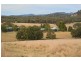 287a Mt Spirabo Road, Tenterfield NSW 2372