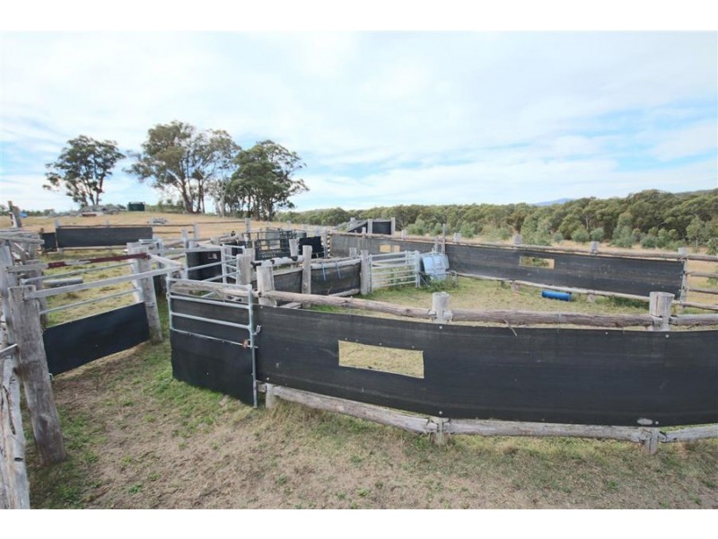 287a Mt Spirabo Road, Tenterfield NSW 2372