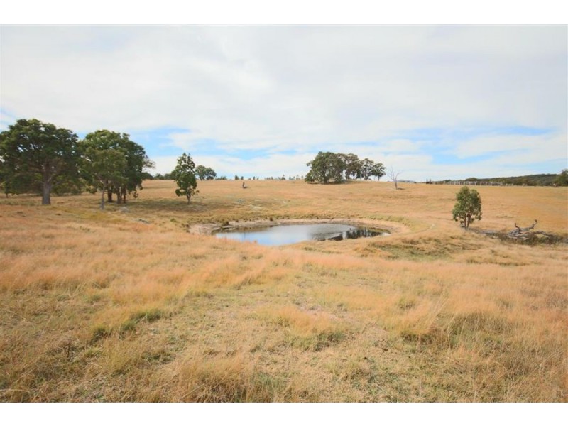 287a Mt Spirabo Road, Tenterfield NSW 2372
