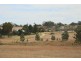 287a Mt Spirabo Road, Tenterfield NSW 2372