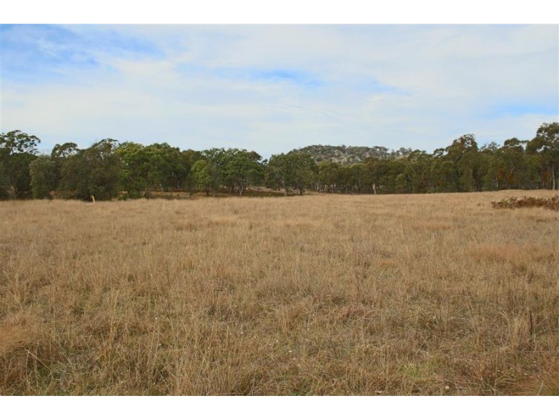 287a Mt Spirabo Road, Tenterfield NSW 2372