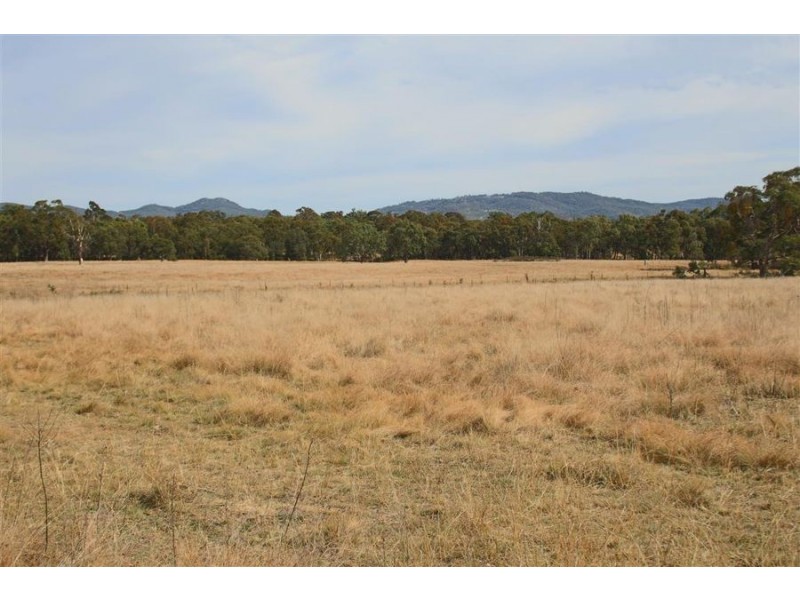 287a Mt Spirabo Road, Tenterfield NSW 2372