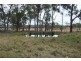 287a Mt Spirabo Road, Tenterfield NSW 2372