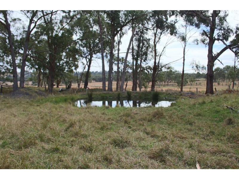 287a Mt Spirabo Road, Tenterfield NSW 2372