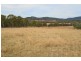 287b Mount Spirabo Road, Tenterfield NSW 2372