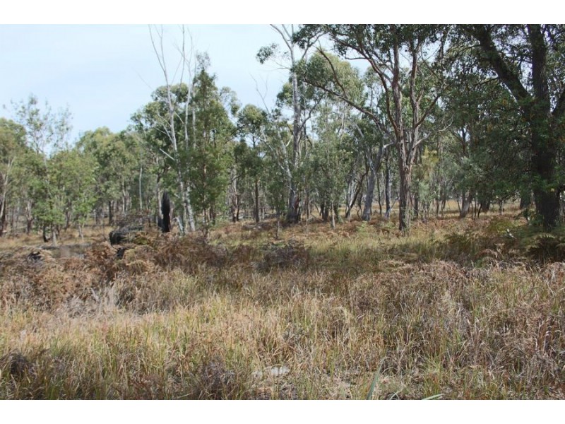 287b Mount Spirabo Road, Tenterfield NSW 2372