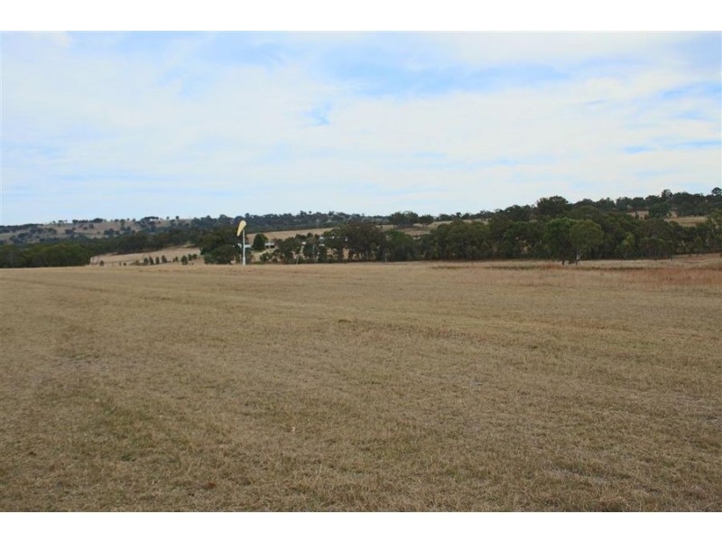 287b Mount Spirabo Road, Tenterfield NSW 2372