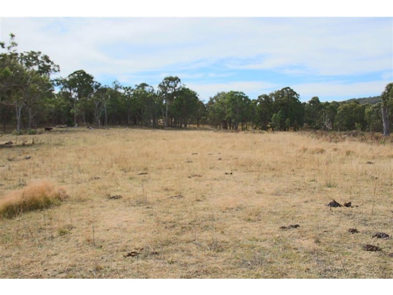287b Mount Spirabo Road, Tenterfield NSW 2372