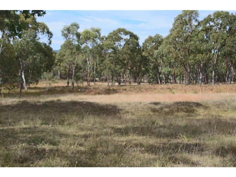 287b Mount Spirabo Road, Tenterfield NSW 2372