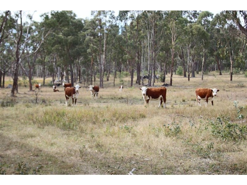 287b Mount Spirabo Road, Tenterfield NSW 2372