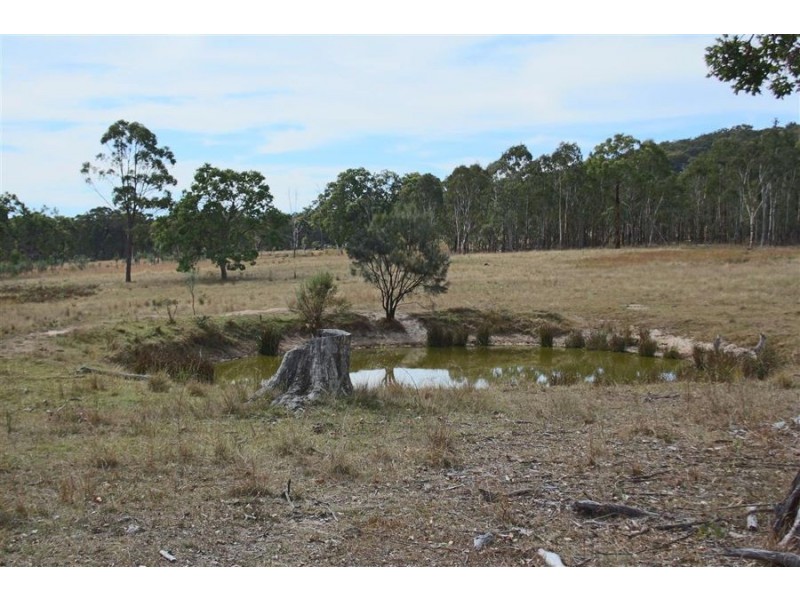 287b Mount Spirabo Road, Tenterfield NSW 2372