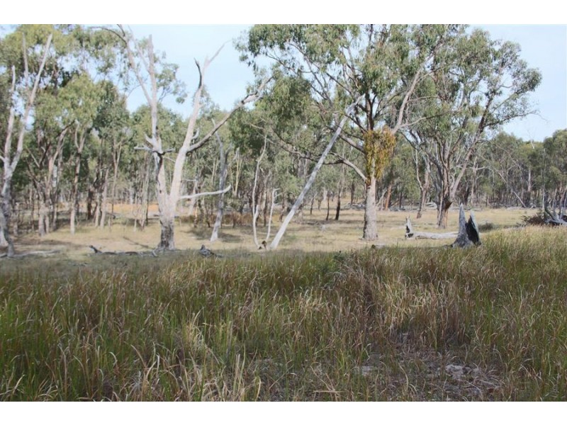 287b Mount Spirabo Road, Tenterfield NSW 2372