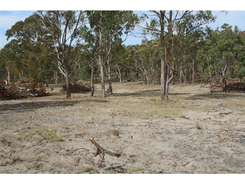 287b Mount Spirabo Road, Tenterfield NSW 2372