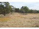 287b Mount Spirabo Road, Tenterfield NSW 2372