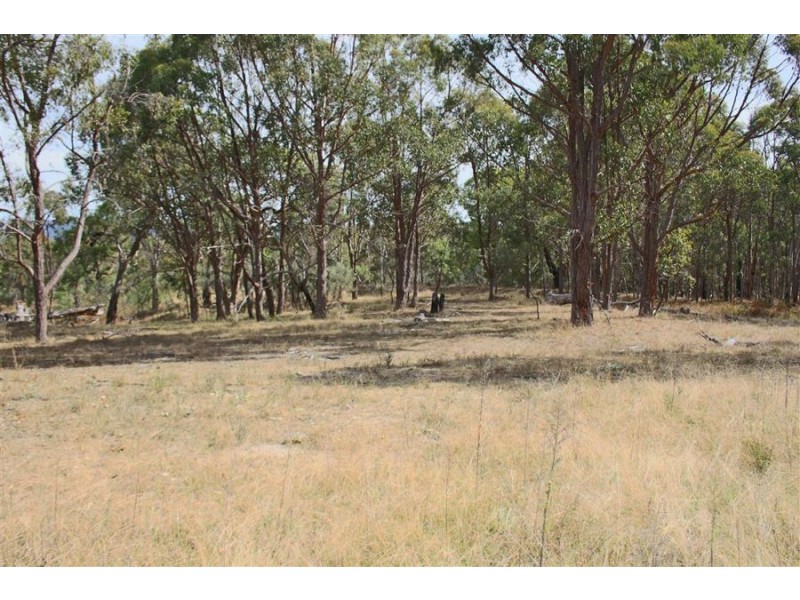 287b Mount Spirabo Road, Tenterfield NSW 2372