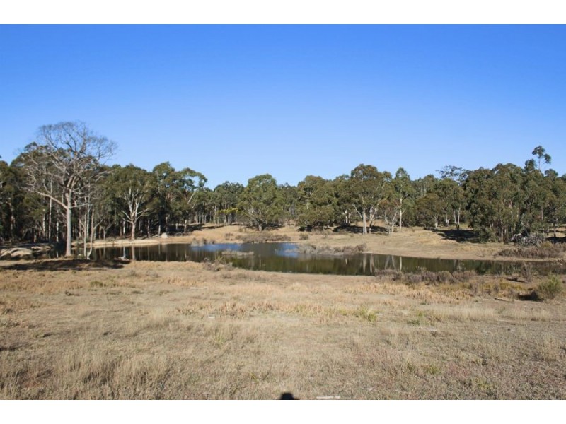 1331 Mount Mackenzie Road, Tenterfield NSW 2372