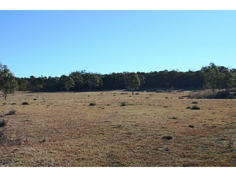 1331 Mount Mackenzie Road, Tenterfield NSW 2372