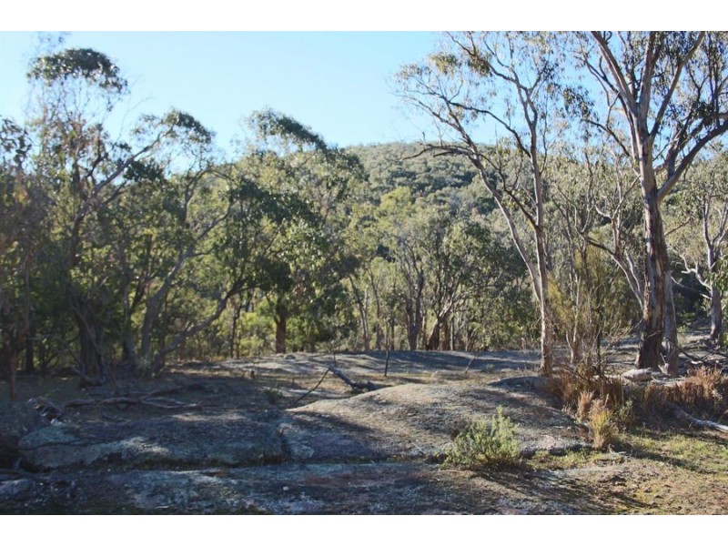 1331 Mount Mackenzie Road, Tenterfield NSW 2372