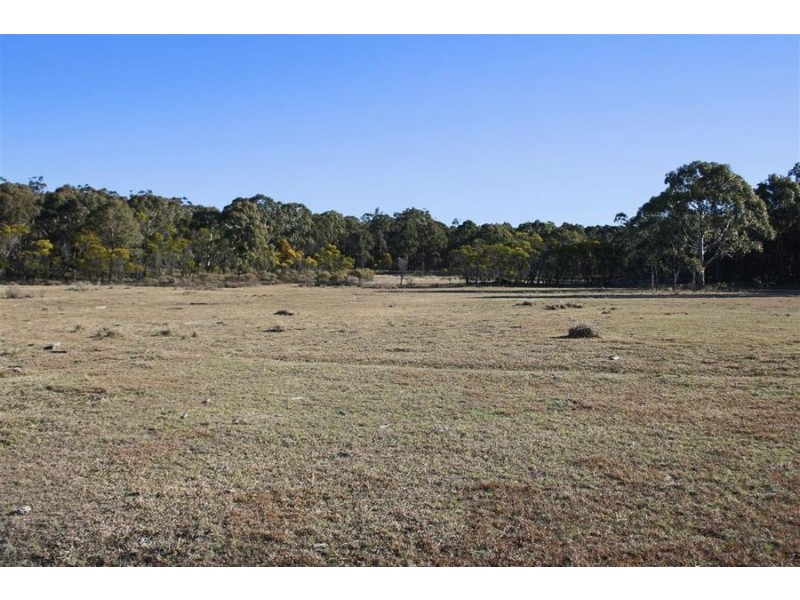 1331 Mount Mackenzie Road, Tenterfield NSW 2372