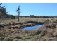 1331 Mount Mackenzie Road, Tenterfield NSW 2372