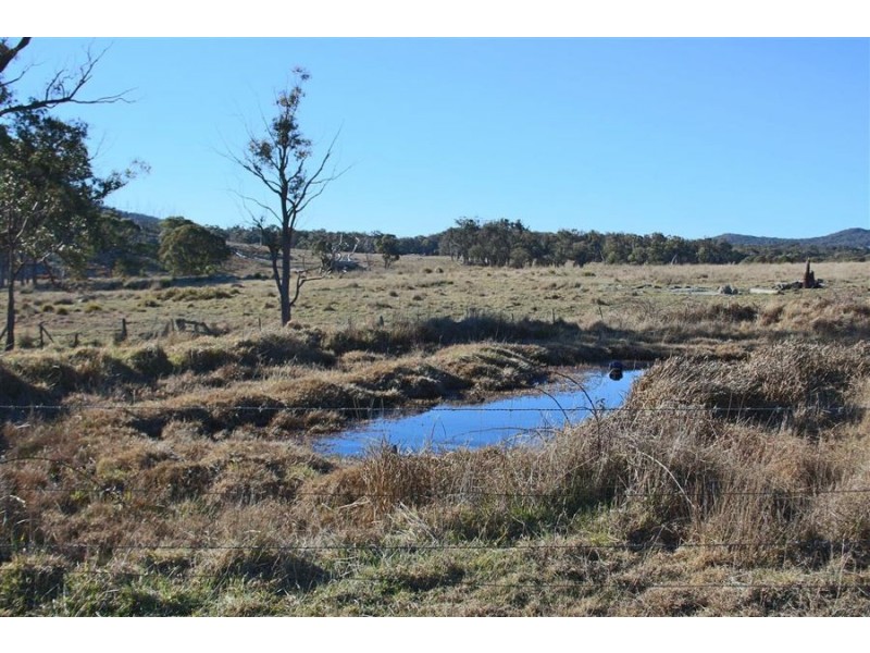 1331 Mount Mackenzie Road, Tenterfield NSW 2372