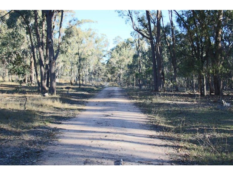 1331 Mount Mackenzie Road, Tenterfield NSW 2372